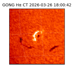 gong - 2026-03-26T18:00:42