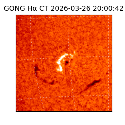 gong - 2026-03-26T20:00:42