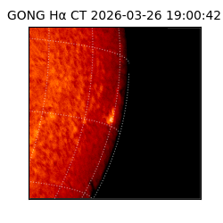 gong - 2026-03-26T19:00:42