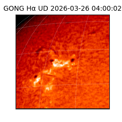 gong - 2026-03-26T04:00:02