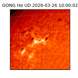 gong - 2026-03-26T10:00:02