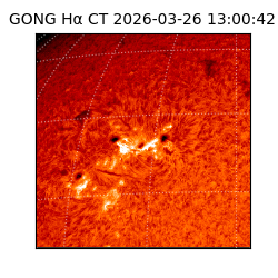 gong - 2026-03-26T13:00:42