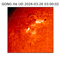 gong - 2026-03-26T03:00:02