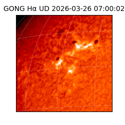 gong - 2026-03-26T07:00:02