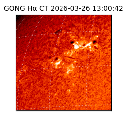 gong - 2026-03-26T13:00:42