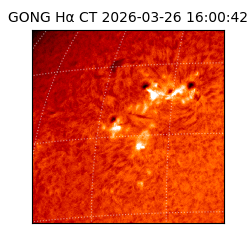 gong - 2026-03-26T16:00:42