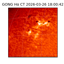 gong - 2026-03-26T18:00:42