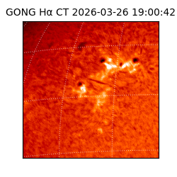 gong - 2026-03-26T19:00:42