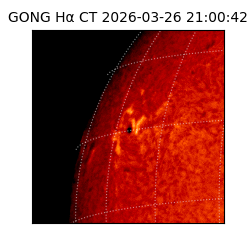 gong - 2026-03-26T21:00:42
