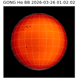 gong - 2026-03-26T01:02:02
