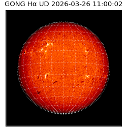 gong - 2026-03-26T11:00:02