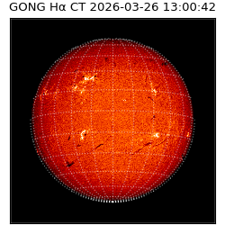 gong - 2026-03-26T13:00:42
