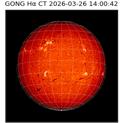 gong - 2026-03-26T14:00:42