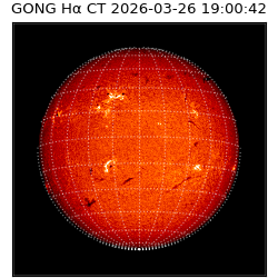 gong - 2026-03-26T19:00:42