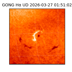 gong - 2026-03-27T01:51:02