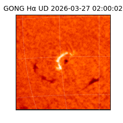 gong - 2026-03-27T02:00:02