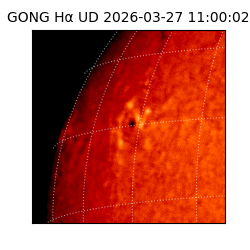 gong - 2026-03-27T11:00:02