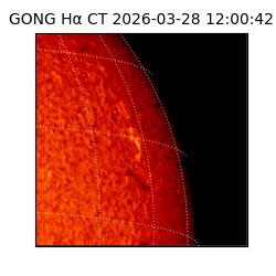 gong - 2026-03-28T12:00:42