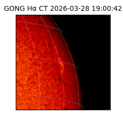gong - 2026-03-28T19:00:42