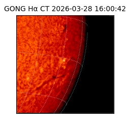 gong - 2026-03-28T16:00:42