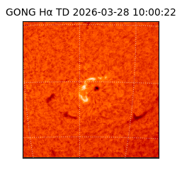 gong - 2026-03-28T10:00:22