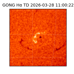 gong - 2026-03-28T11:00:22