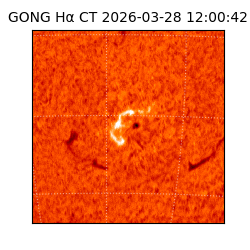 gong - 2026-03-28T12:00:42