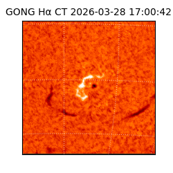 gong - 2026-03-28T17:00:42