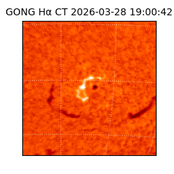 gong - 2026-03-28T19:00:42