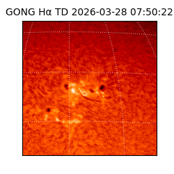 gong - 2026-03-28T07:50:22