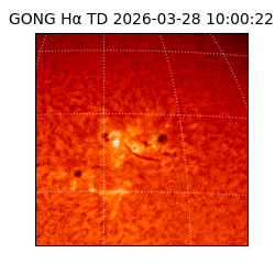 gong - 2026-03-28T10:00:22