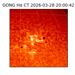gong - 2026-03-28T20:00:42