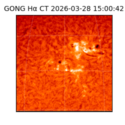 gong - 2026-03-28T15:00:42