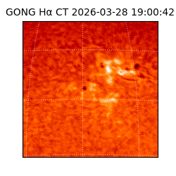 gong - 2026-03-28T19:00:42