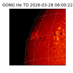 gong - 2026-03-28T08:00:22
