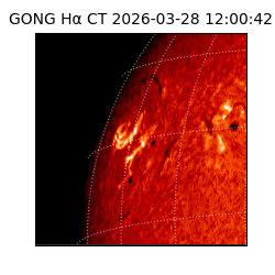 gong - 2026-03-28T12:00:42