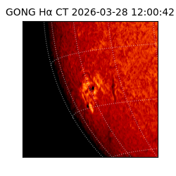 gong - 2026-03-28T12:00:42