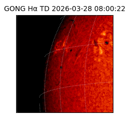 gong - 2026-03-28T08:00:22