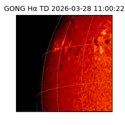gong - 2026-03-28T11:00:22