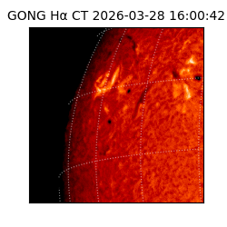 gong - 2026-03-28T16:00:42