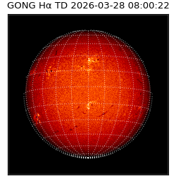 gong - 2026-03-28T08:00:22