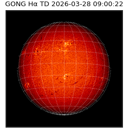 gong - 2026-03-28T09:00:22