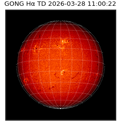 gong - 2026-03-28T11:00:22