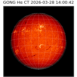 gong - 2026-03-28T14:00:42