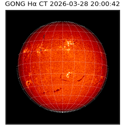 gong - 2026-03-28T20:00:42