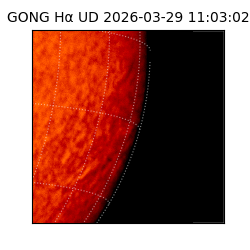 gong - 2026-03-29T11:03:02