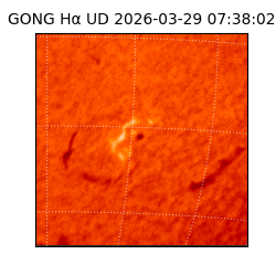 gong - 2026-03-29T07:38:02