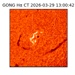 gong - 2026-03-29T13:00:42