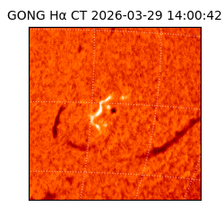 gong - 2026-03-29T14:00:42