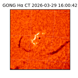 gong - 2026-03-29T16:00:42